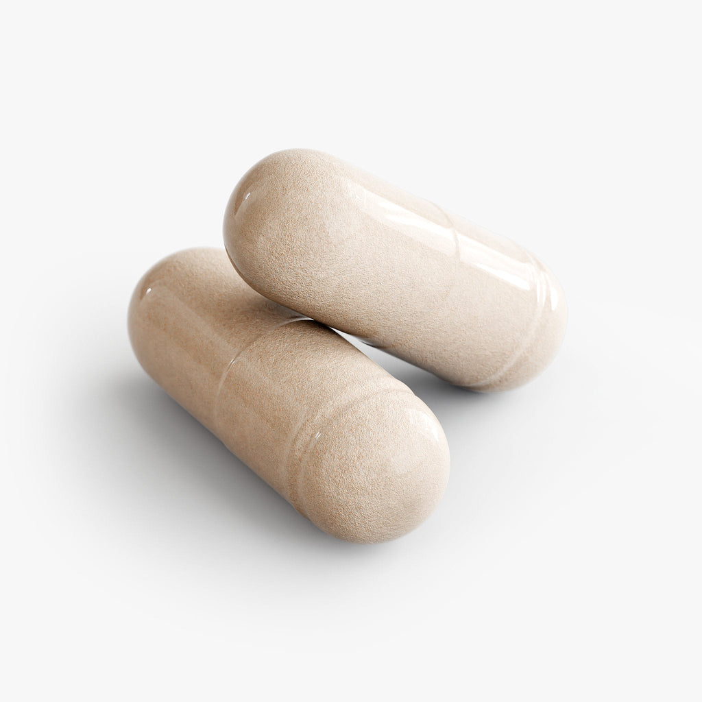 Muscle Faktor NEURO-FLUENCY Brain & Focus Support Capsules